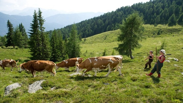 Merakla Beklenen Tarım Destekleri Açıklandı